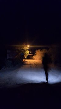 Imagen de la galería: 1767285787_vampiros.org_2026-01-01at11.53.47