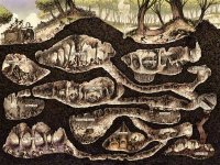 Imagen de la galería: 1767852199_vampiros.org_1767825028352271