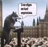 Imagen de la galería: 1769795953_vampiros.org_si_me_eligen